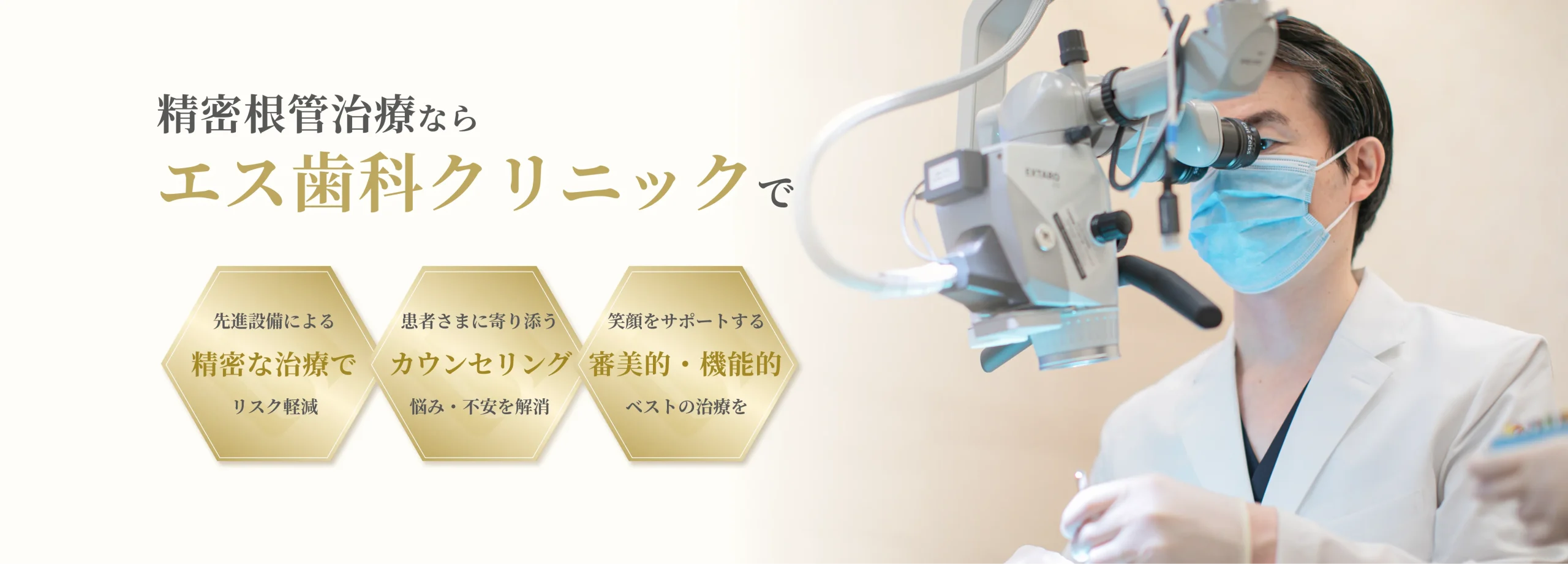 精密根管治療 イメージ